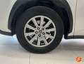 Lexus NX 300 300h Business Navigation 2WD Blanco - thumbnail 21