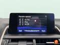 Lexus NX 300 300h Business Navigation 2WD Blanco - thumbnail 19