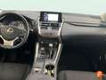 Lexus NX 300 300h Business Navigation 2WD Blanco - thumbnail 11