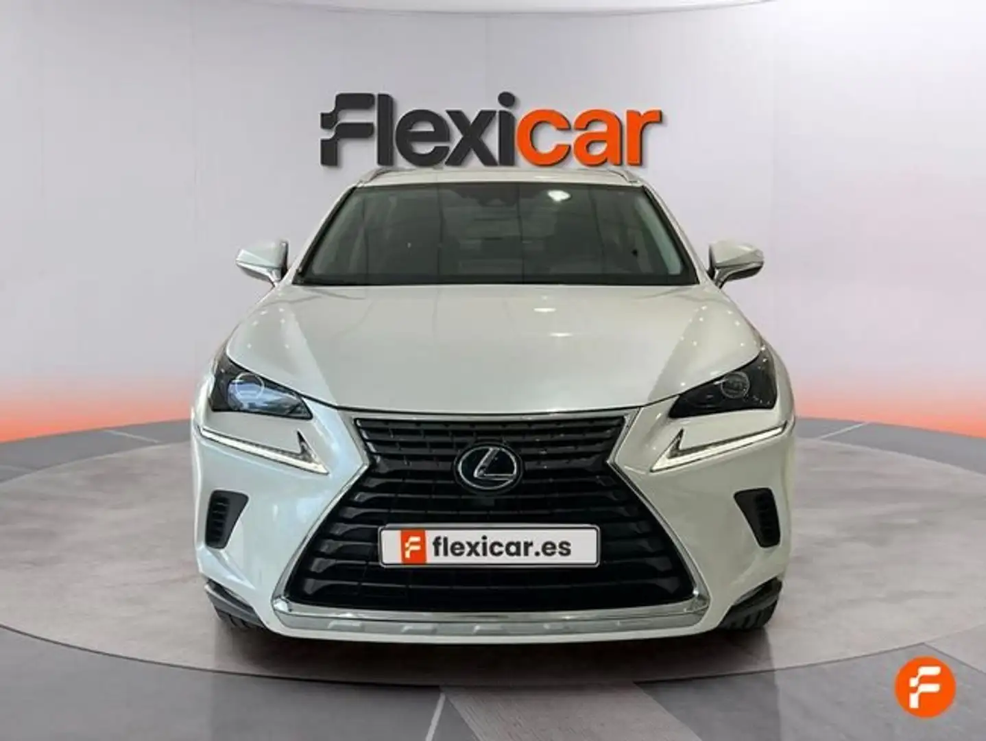 Lexus NX 300 300h Business Navigation 2WD Blanco - 2