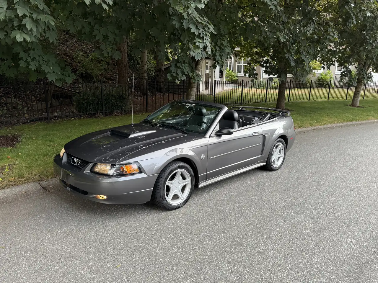  Mustang
