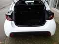 Mazda 2 Hybrid 1.5 VVT e-CVT Centre-Line *KM ZERO* Bianco - thumbnail 15