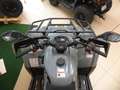 Goes TERROX 400L ABS, CVT, AZV, Seilwinde, T3b, Servo - thumbnail 6