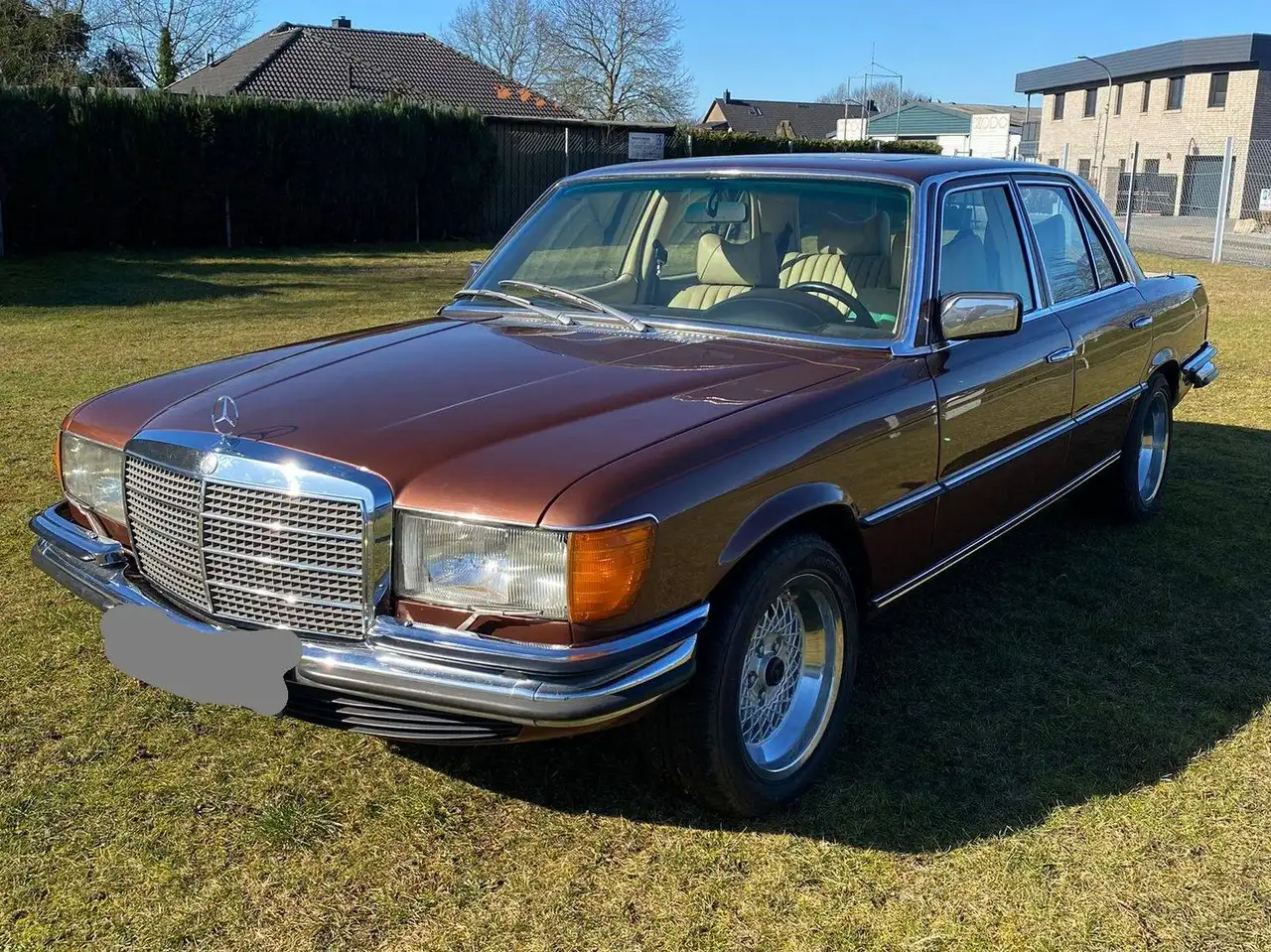 Mercedes-Benz 450 SE, foto 3