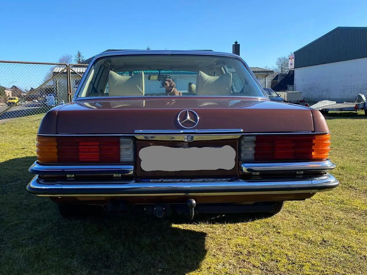Mercedes-Benz 450 SE, foto 7