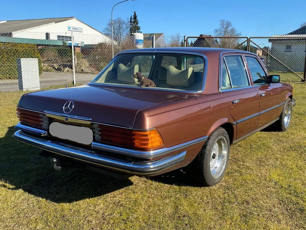 Mercedes-Benz 450 SE, foto 6