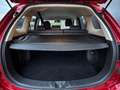 Mitsubishi Outlander 2.4 DOHC PHEV Aut Pure+ | Carplay | CRUISE CONTROL Rot - thumbnail 16