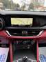 Alfa Romeo Stelvio 2.2 T.diesel 210 CV AT8 Q4 Super Gris - thumbnail 13