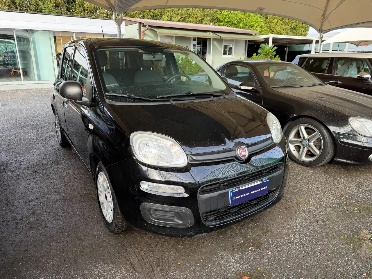 Fiat Panda Panda 1.0 hybrid Easy — photo 1 of 10