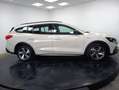 Ford Focus 1.5Ecoblue Active 120 Blanco - thumbnail 3