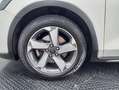 Ford Focus 1.5Ecoblue Active 120 Blanco - thumbnail 36