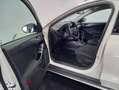 Ford Focus 1.5Ecoblue Active 120 Blanco - thumbnail 8