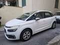 Citroen C4 Picasso 1.6 bluehdi Shine s&s 120cv - thumbnail 2