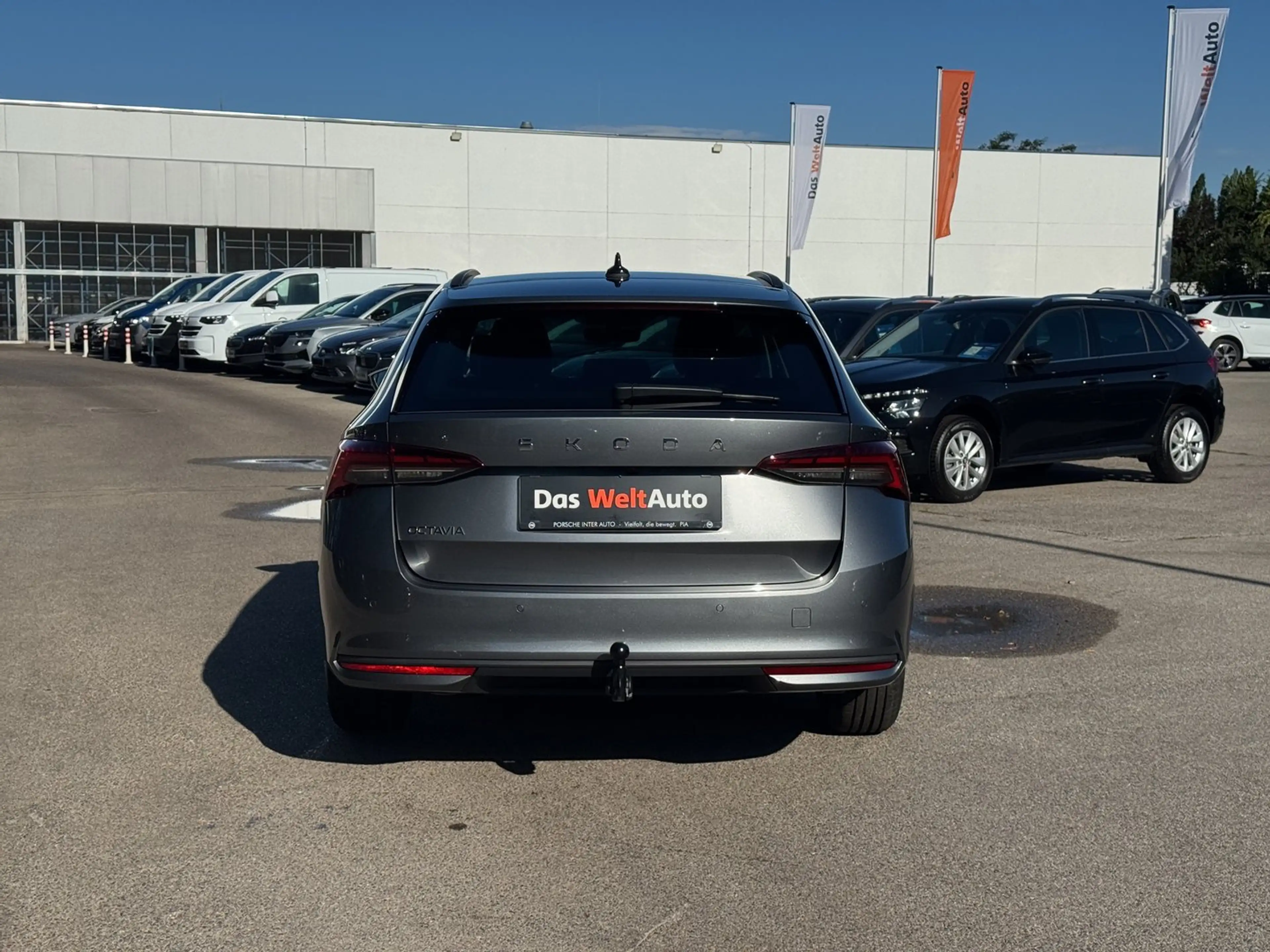 Skoda Octavia Selection TDI DSG — photo 5