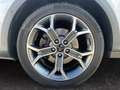 Kia XCeed Platinum 1.4T-GDI Klimaautom SHZ Navi PDCv+h Rückf Weiß - thumbnail 14