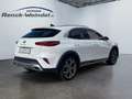 Kia XCeed Platinum 1.4T-GDI Klimaautom SHZ Navi PDCv+h Rückf Weiß - thumbnail 5