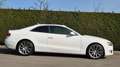 Audi A5 2.0 TFSI 155kW S tronic quattro/LEDER/PANO/ Weiß - thumbnail 3