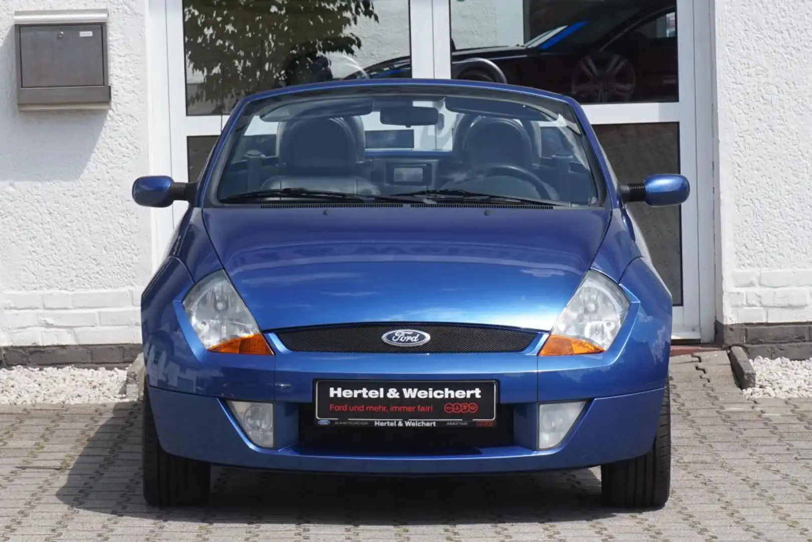 Ford Streetka 1.6 8V Elegance Azul - 2