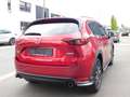 Mazda CX-5 2.2D 4WD+CUIR+CAMERA  // 9463 € + TVA 21% Rouge - thumbnail 7
