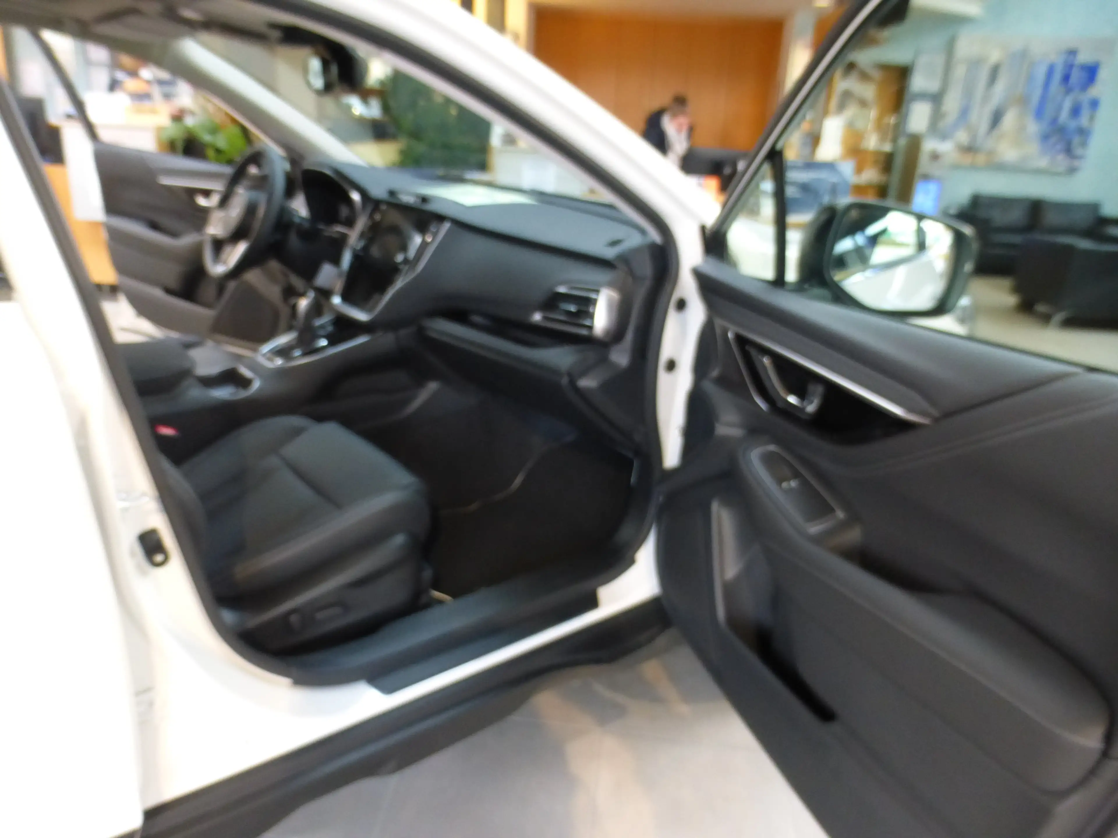 Subaru OUTBACK Outback 2.5i Platinum Lineartronic (00R=Restart) — photo 12