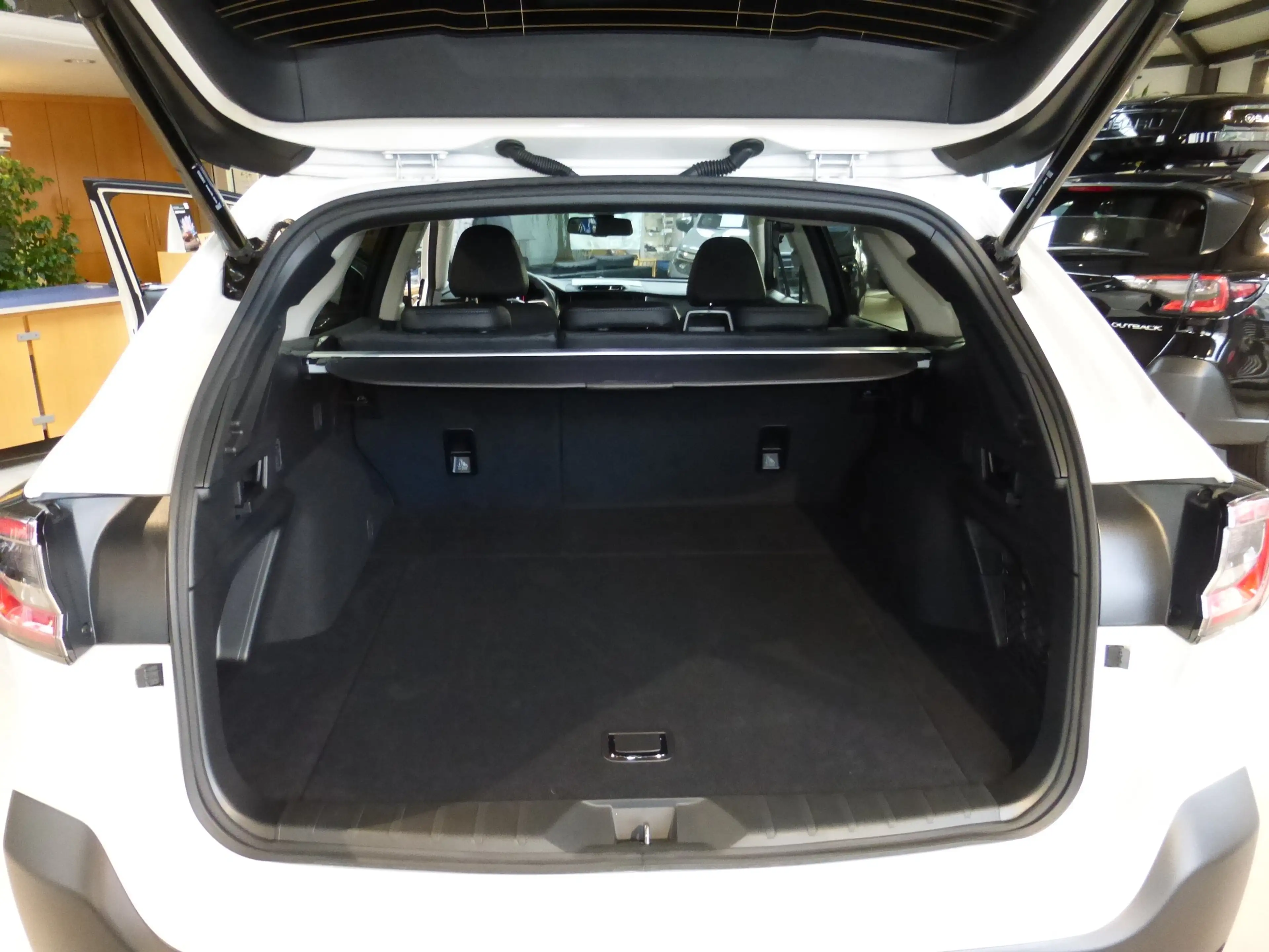 Subaru OUTBACK Outback 2.5i Platinum Lineartronic (00R=Restart) — photo 10