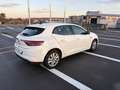 Renault Megane 1.0 TCE 115CH BUSINESS 1ERE MAIN  *TVA RECUPERABLE* Blanc - thumbnail 6