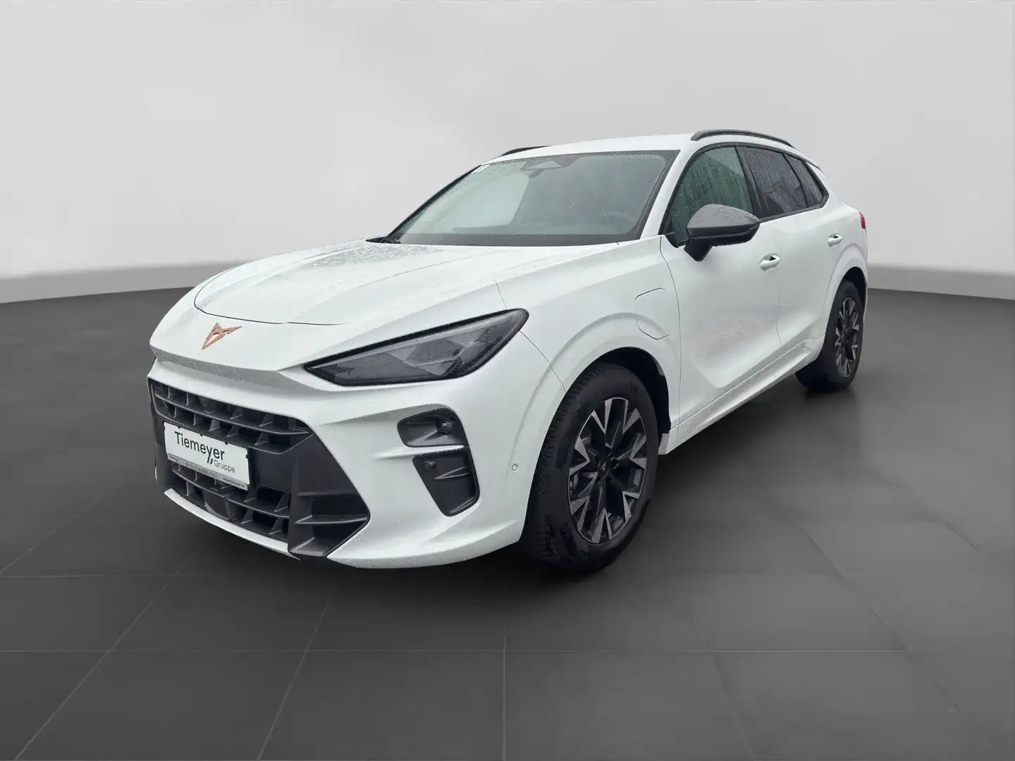 CUPRA Terramar eHybrid HuD ASSIST 360° MEMORY Weiß - 2