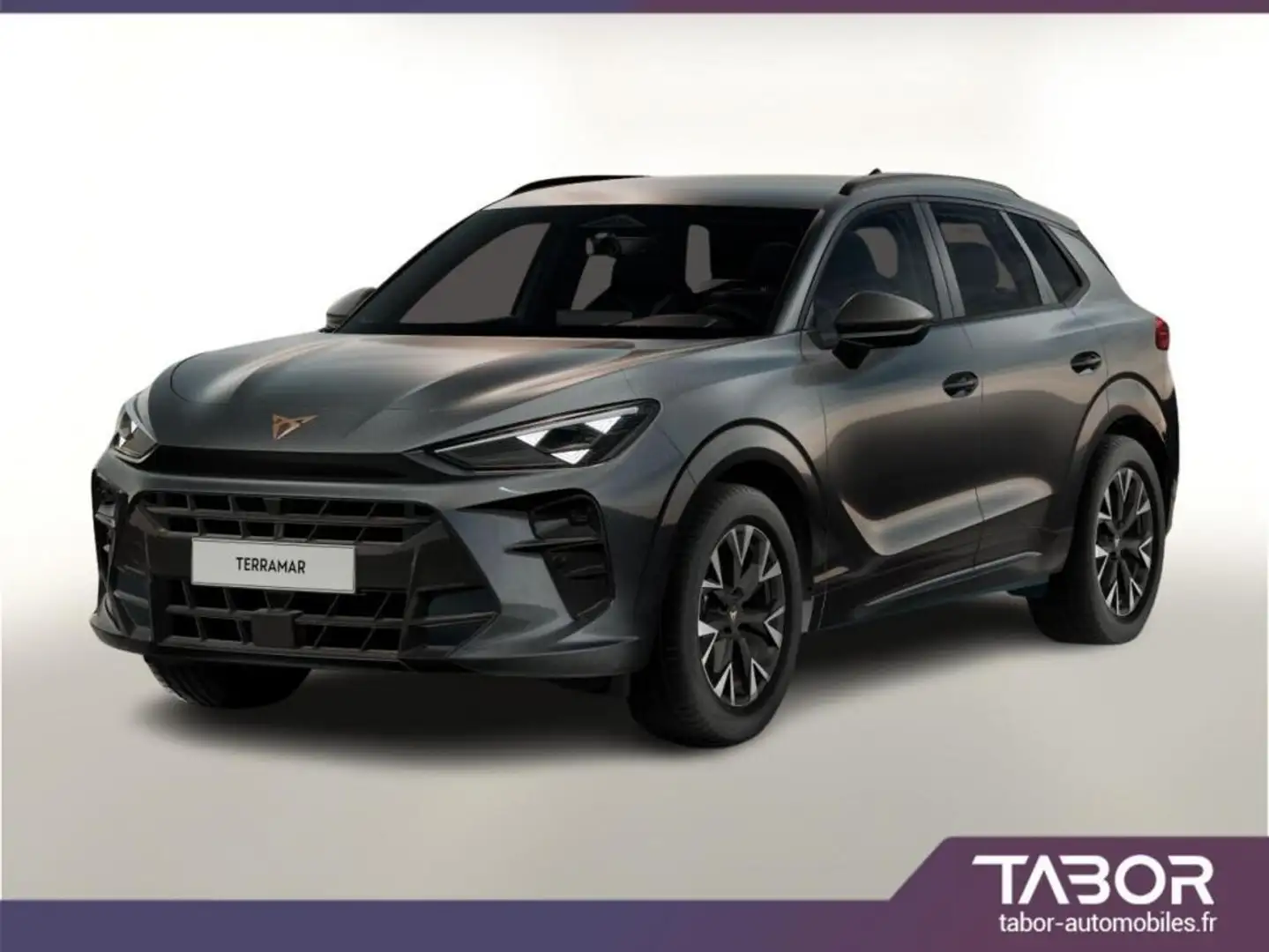 CUPRA Terramar 1.5 eTSI 150 DCT LED Edge DigCo Gris - 1