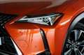 Lexus UX 250h PREMIUM Orange - thumbnail 7