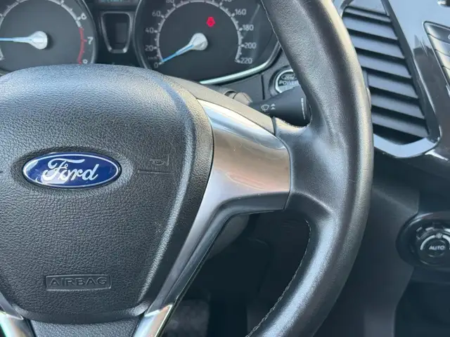 Ford Ecosport view 15