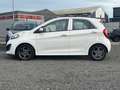 Kia Picanto 1.0 CVVT Design Edition/AIRCO/NW APK Blanc - thumbnail 4