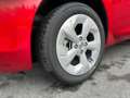 Suzuki Swift 1.2 Hybrid Allgrip Shine Rot - thumbnail 14