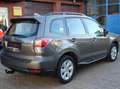 Subaru Forester Active Automatik inkl. AHK  2-Sitzer LKW Bronze - thumbnail 6
