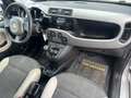 Fiat Panda 1.3Multijet Rock 4x4 Grau - thumbnail 9