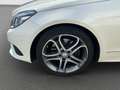 Mercedes-Benz E 250 Bluetec +nur an Händler/Export+HU 4/26 Blanc - thumbnail 16