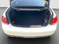 Mercedes-Benz E 250 Bluetec +nur an Händler/Export+HU 4/26 Blanc - thumbnail 9