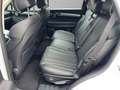 Genesis GV80 3.0 CRDi Sport 4WD MEGAVOLL Weiß - thumbnail 12