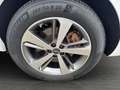 Genesis GV80 3.0 CRDi Sport 4WD MEGAVOLL Weiß - thumbnail 18