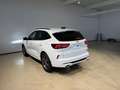 Ford Kuga 2,5 Duratec FHEV ST-Line X Aut. Weiß - thumbnail 3