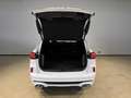 Ford Kuga 2,5 Duratec FHEV ST-Line X Aut. Weiß - thumbnail 5