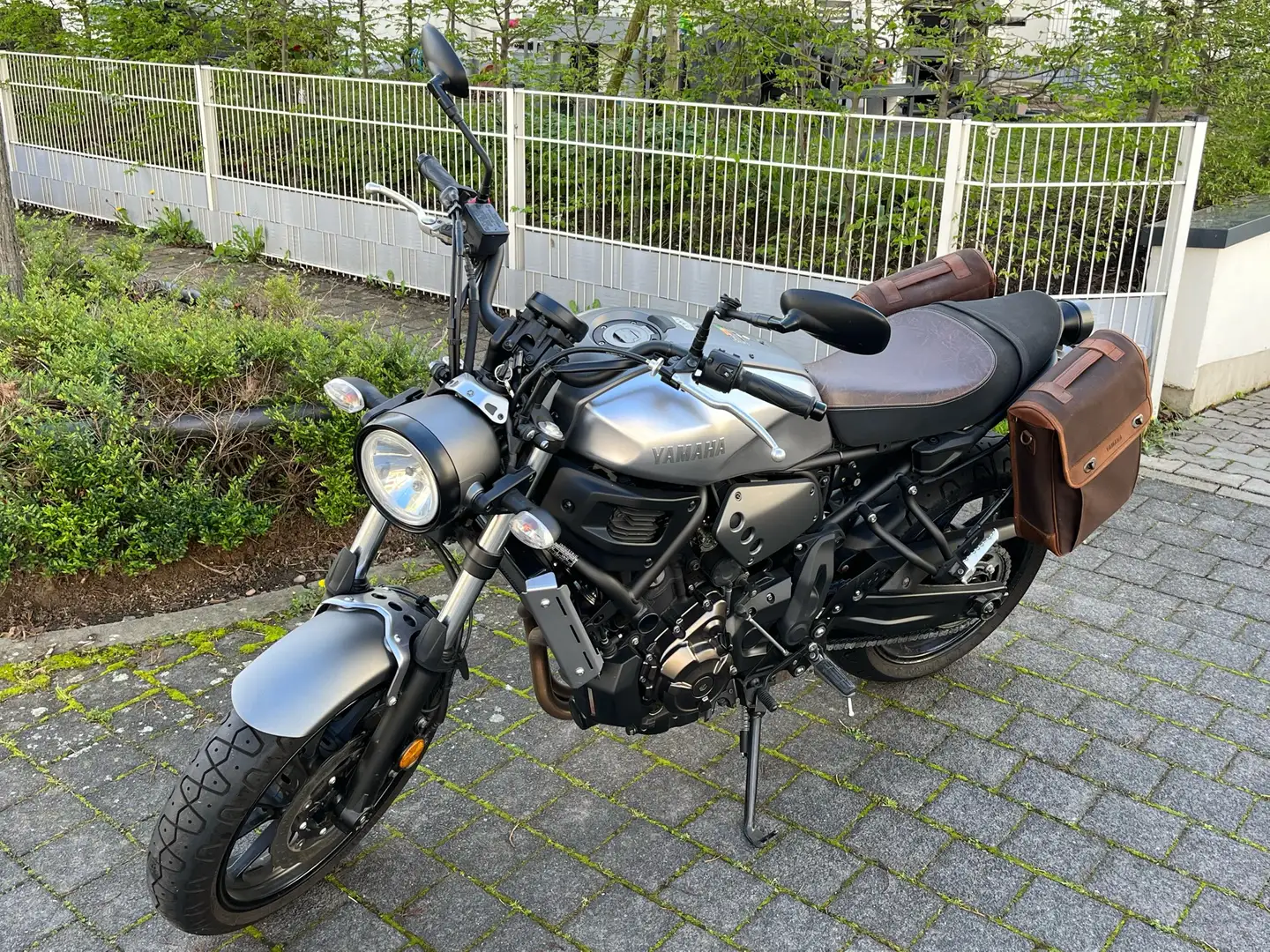 Yamaha XSR 700 Grau - 1