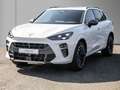 CUPRA Terramar 2.0 TSI VZ 4Drive AHK/Pano Weiß - thumbnail 2