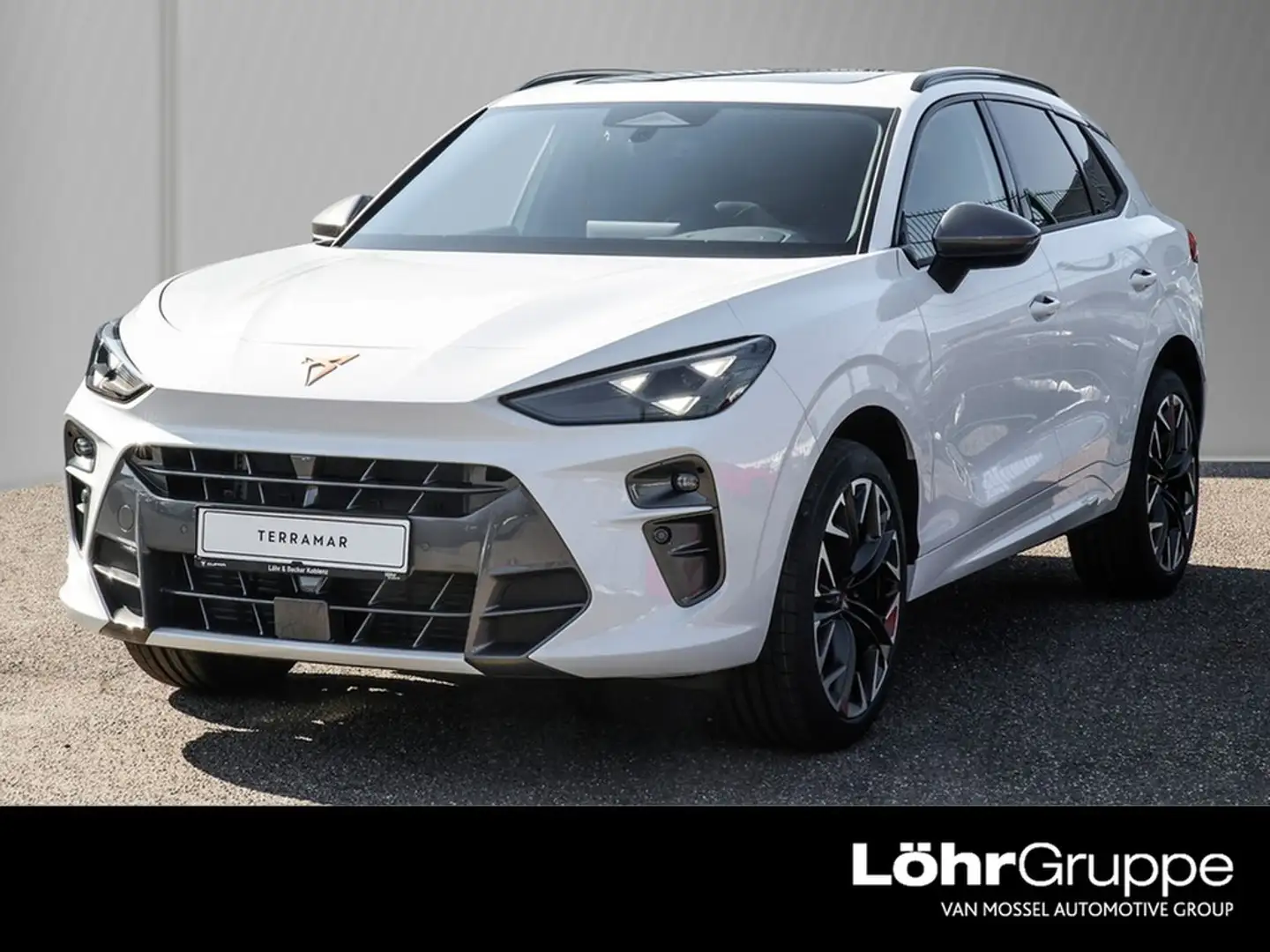 CUPRA Terramar 2.0 TSI VZ 4Drive AHK/Pano Weiß - 1