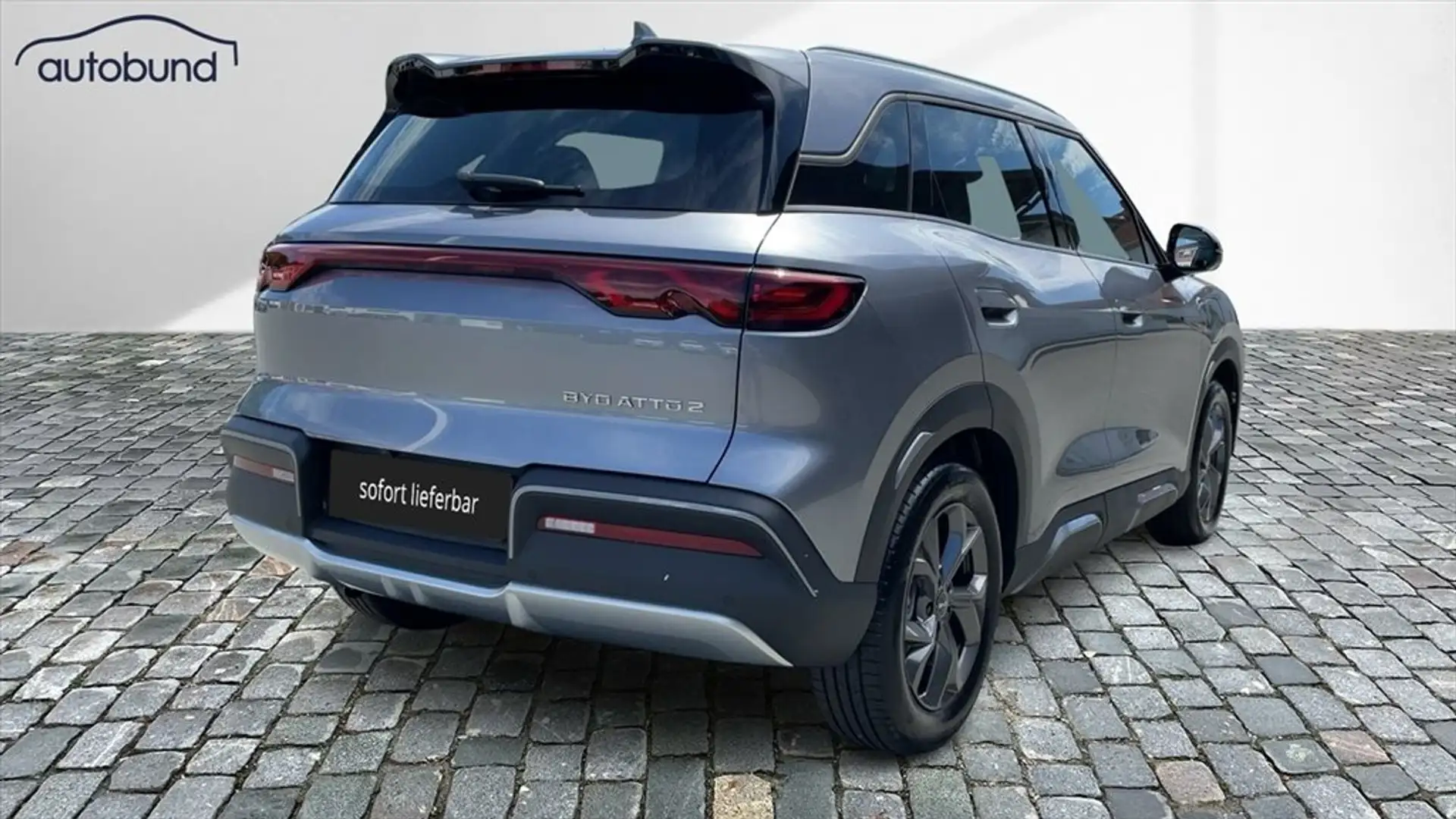 BYD Atto 2 Boost Panorama 360 WaePu NFC Grigio - 2