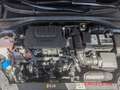 Kia Ceed / cee'd Vision Automatik 1.5T Komfort+-Paket Schwarz - thumbnail 14