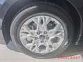 Kia Ceed / cee'd Vision Automatik 1.5T Komfort+-Paket Schwarz - thumbnail 15