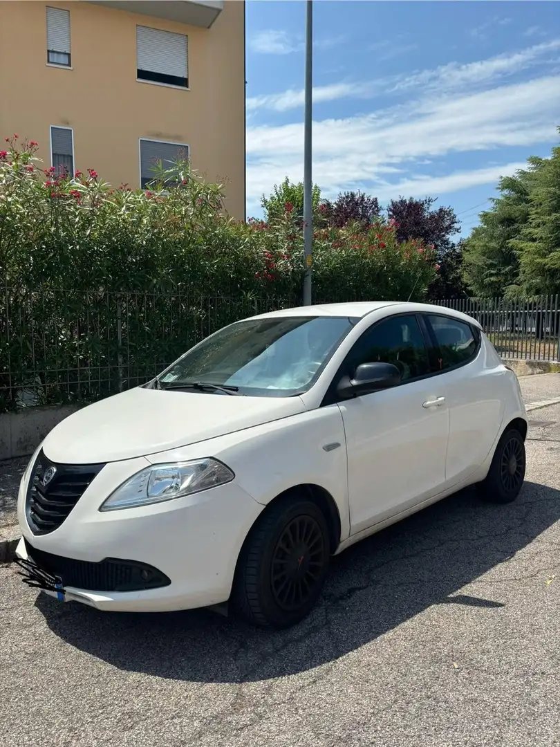 Lancia Ypsilon 1.2 8v Elefantino ecochic Gpl 69cv my14 - 2