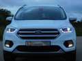 Ford Kuga Titanium PANORAMADACH AHK KAMERA SH Blanco - thumbnail 2