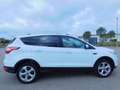 Ford Kuga Titanium PANORAMADACH AHK KAMERA SH Blanco - thumbnail 13