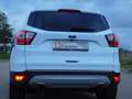 Ford Kuga Titanium PANORAMADACH AHK KAMERA SH Blanco - thumbnail 12